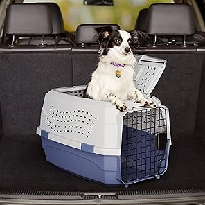 Ventilated carrier